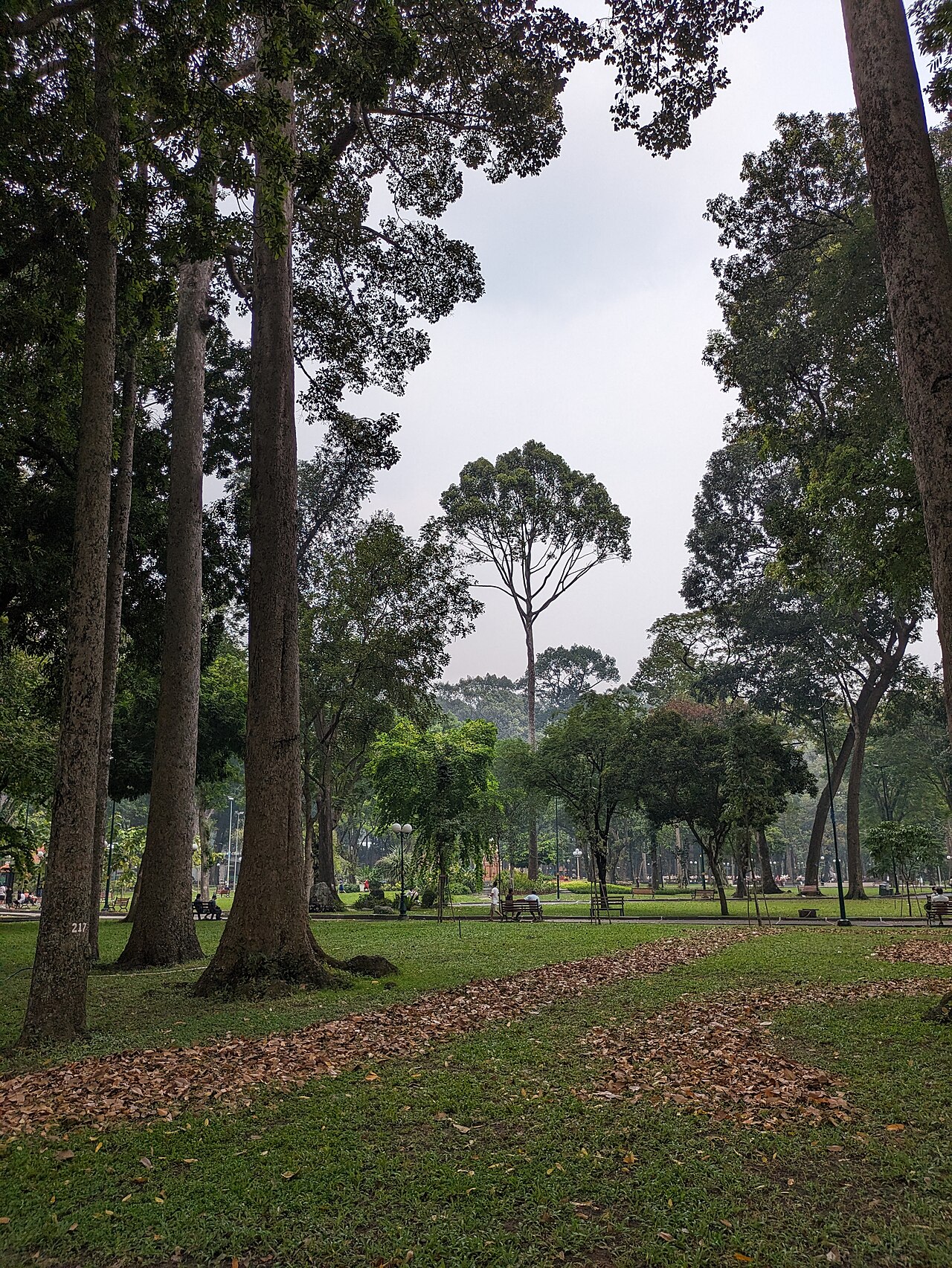 Tao Dan Parkı fotoğrafı