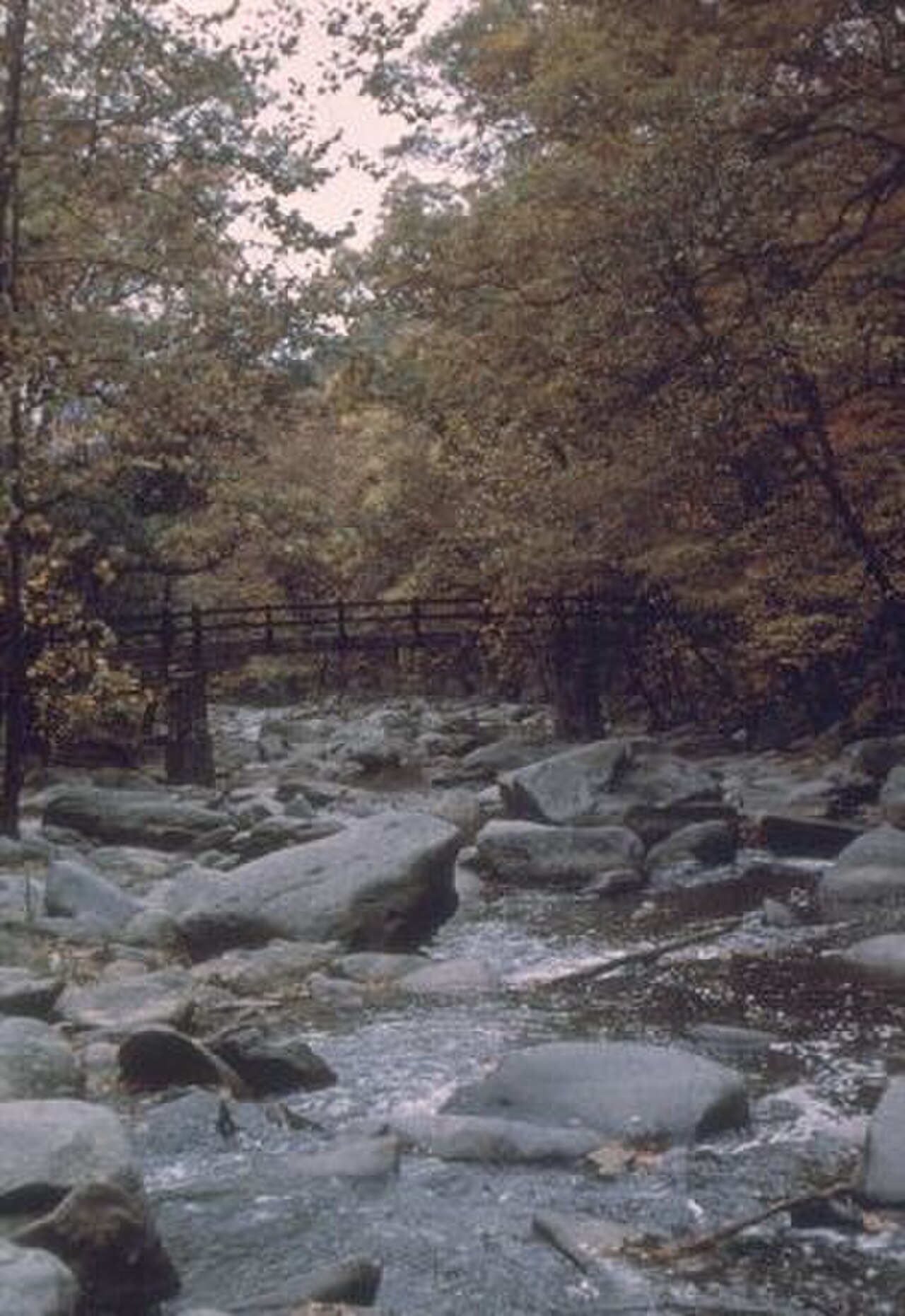 Rock Creek Parkı