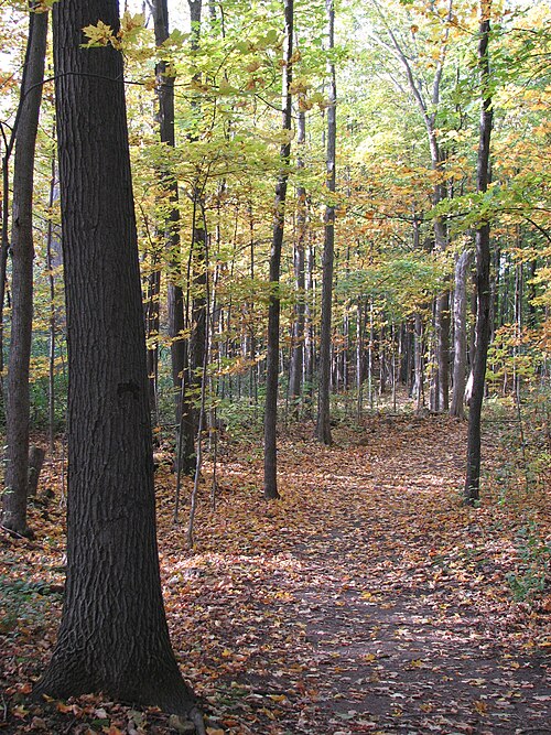 Naturpark Cap-Saint-Jacques
