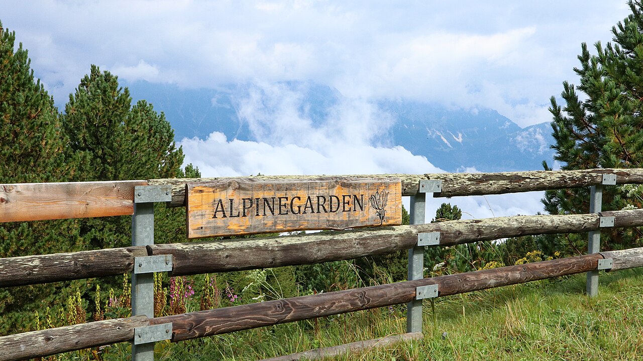 Ein Foto von Alpengarten