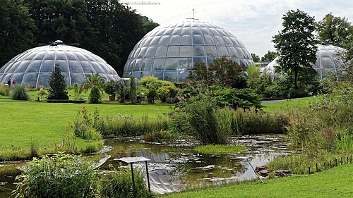 Botanischer Garten Zürich