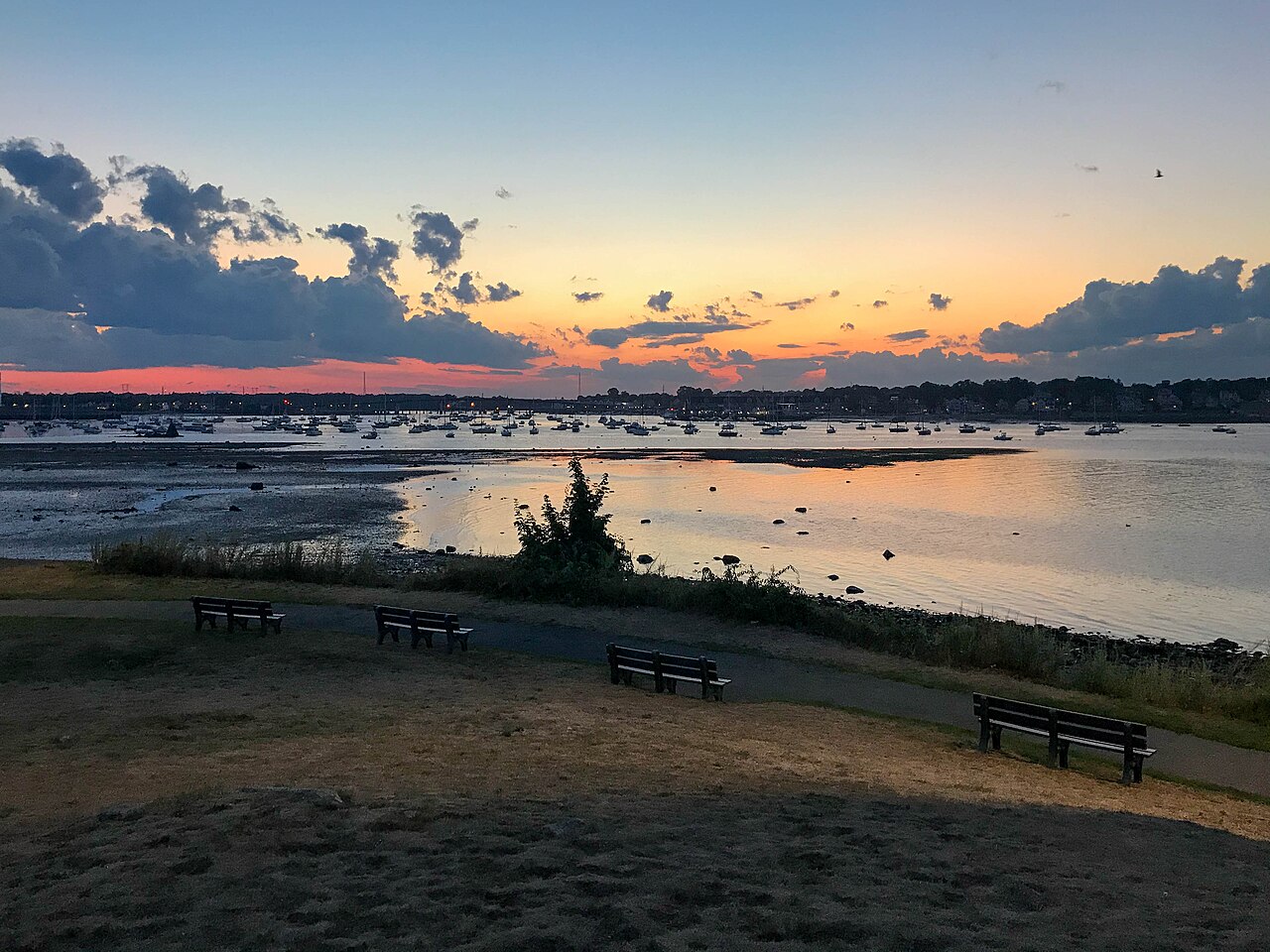 Willows Park fotoğrafı