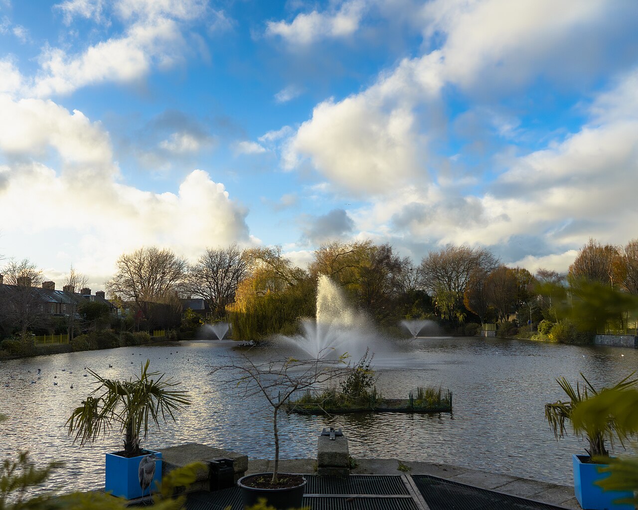 Ein Foto von Blessington Street Basin
