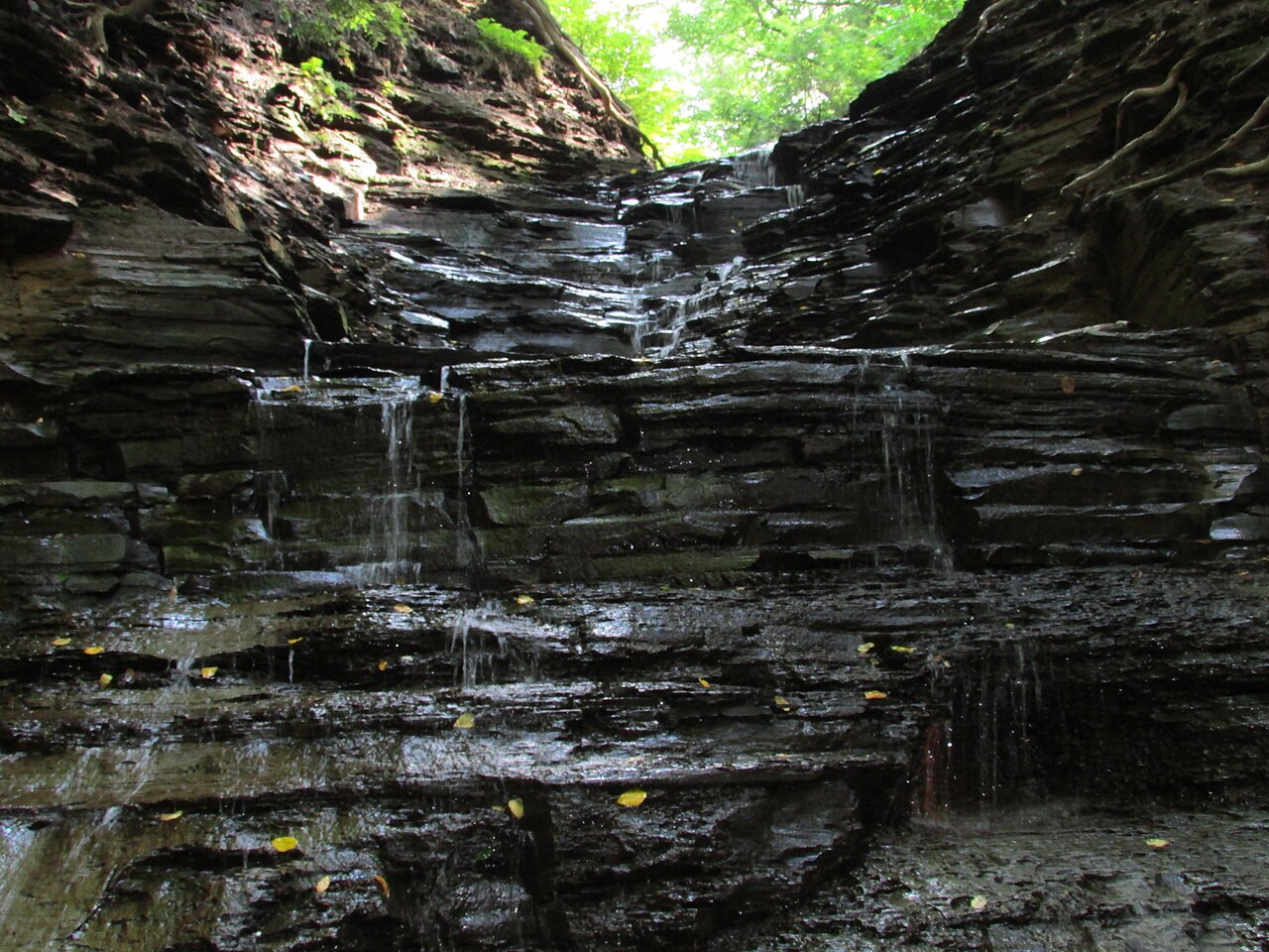 A photograph of Eternal Flame