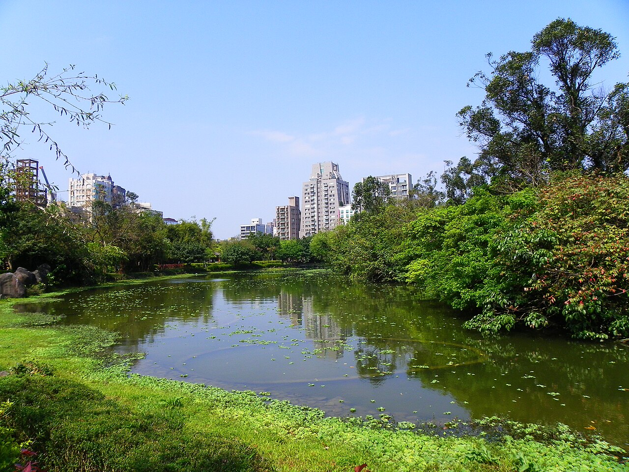 Daan Orman Parkı