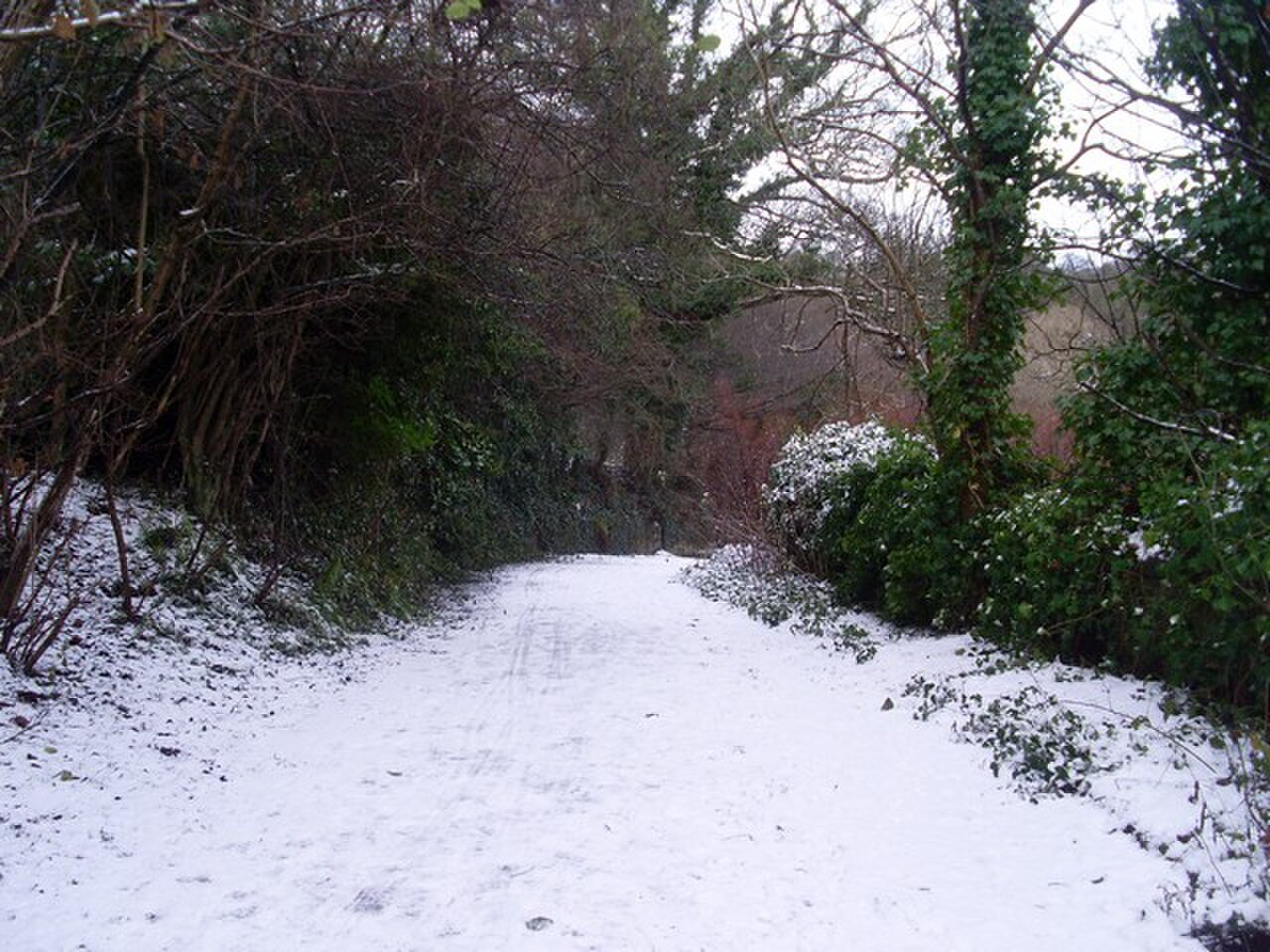 Dawsholm Park