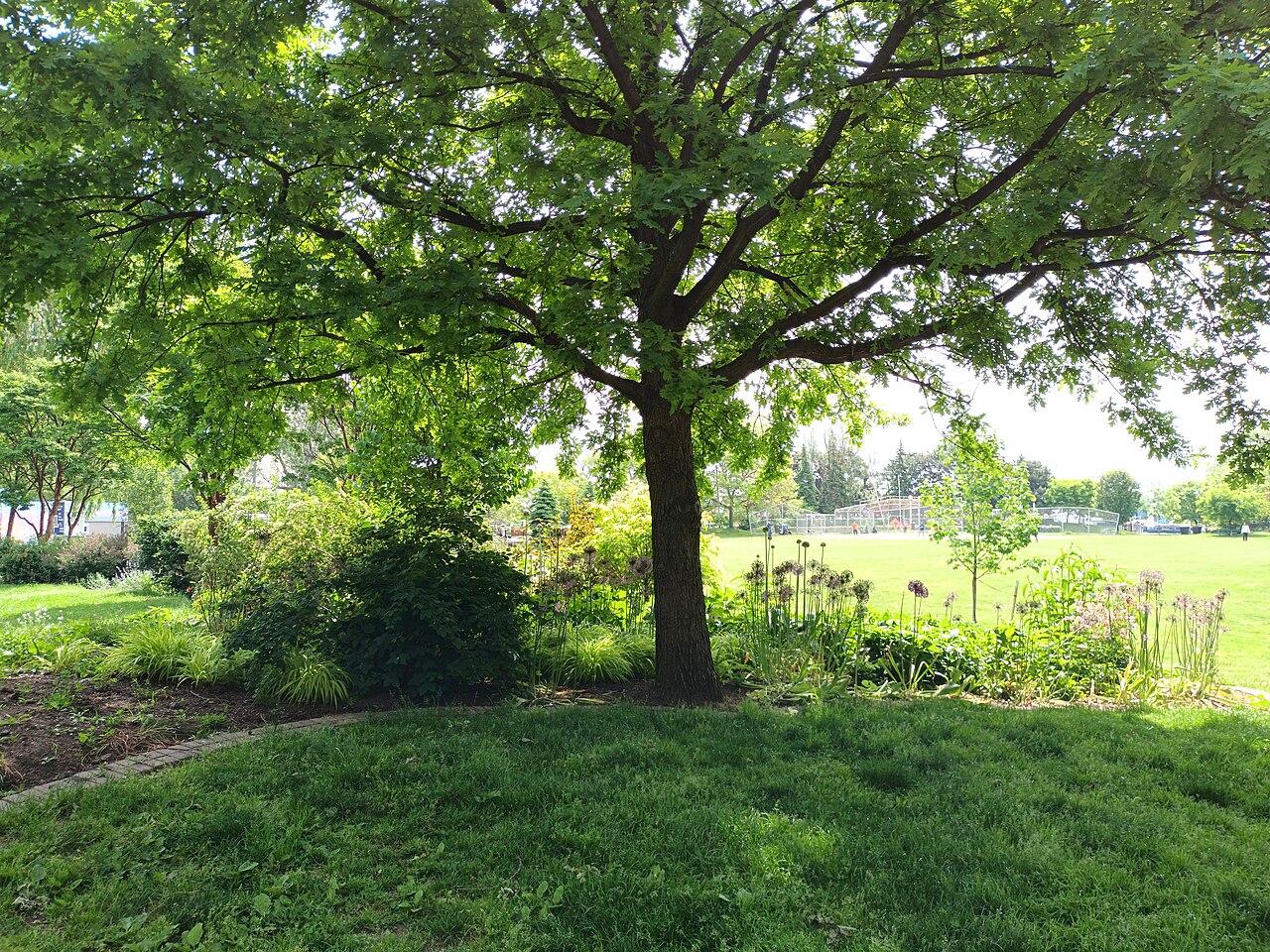 Ein Foto von Little-Norway-Park