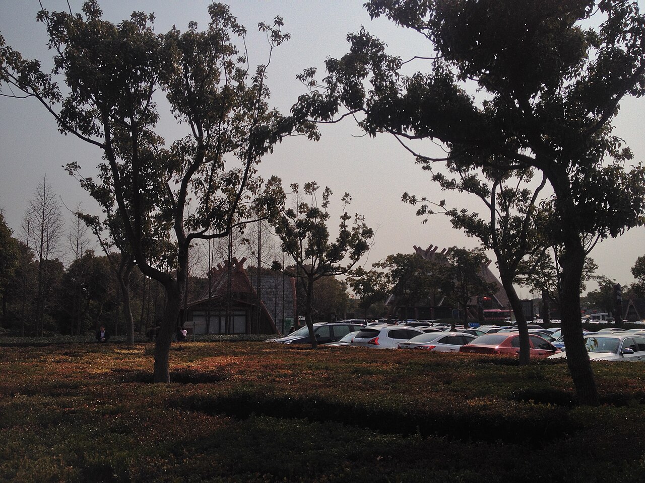 Una fotografia di Parco faunistico di Shanghai