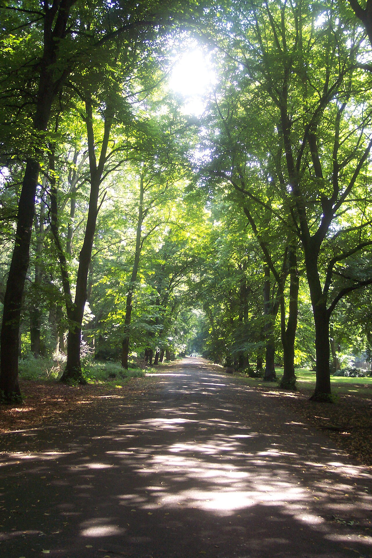 Alexandra Park, Manchester