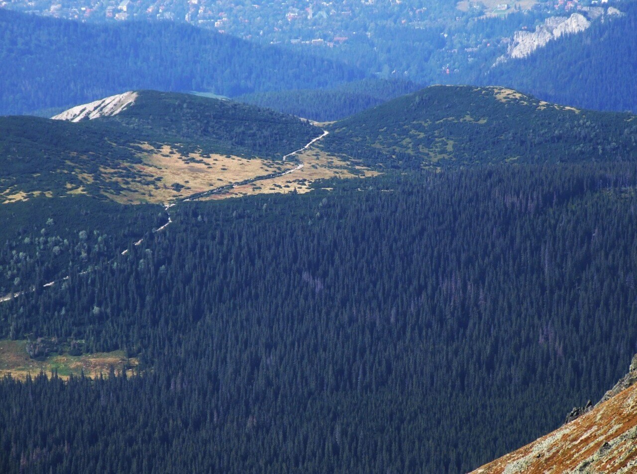 A photograph of Kopa