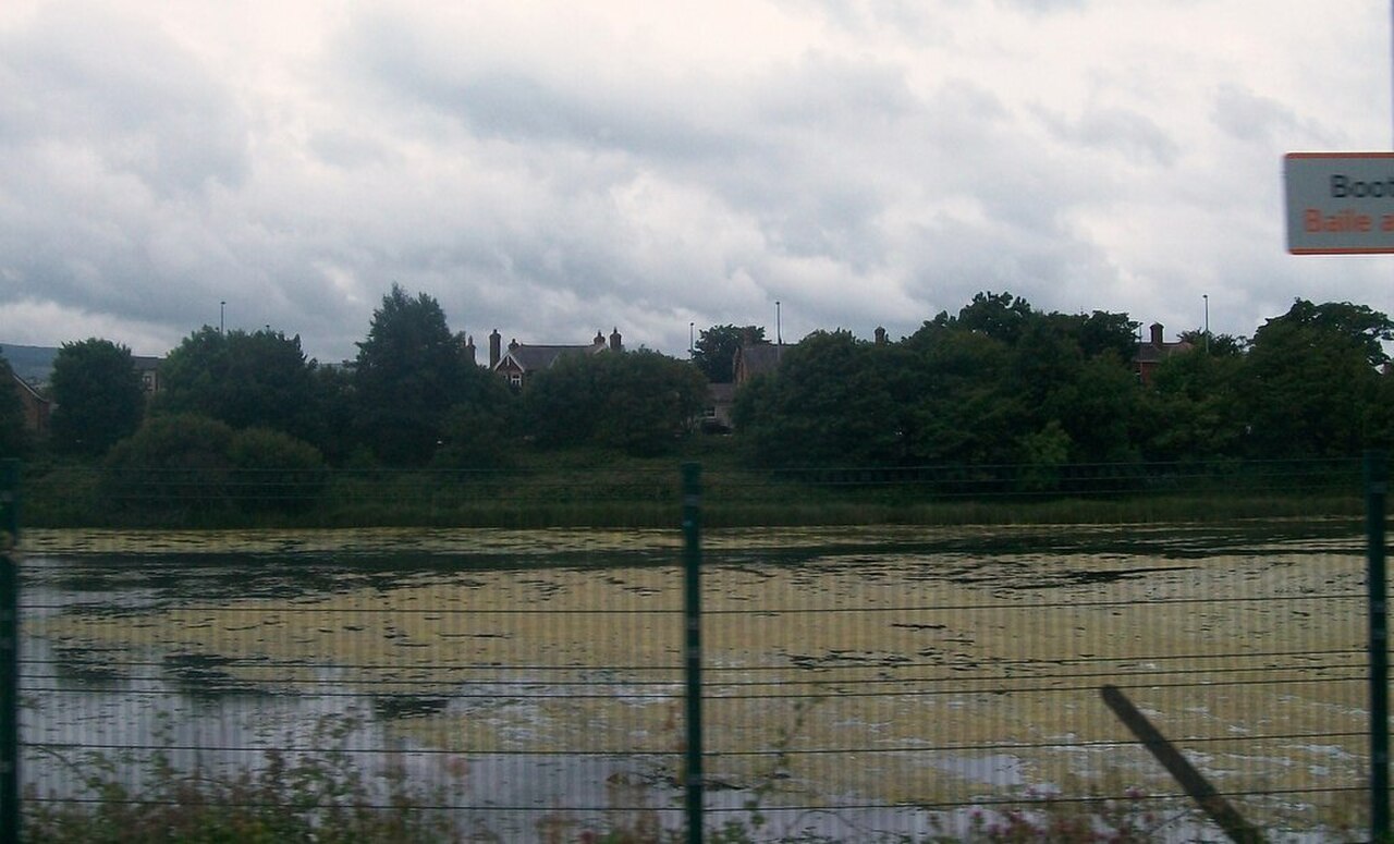 Ein Foto von Sumpf von Booterstown