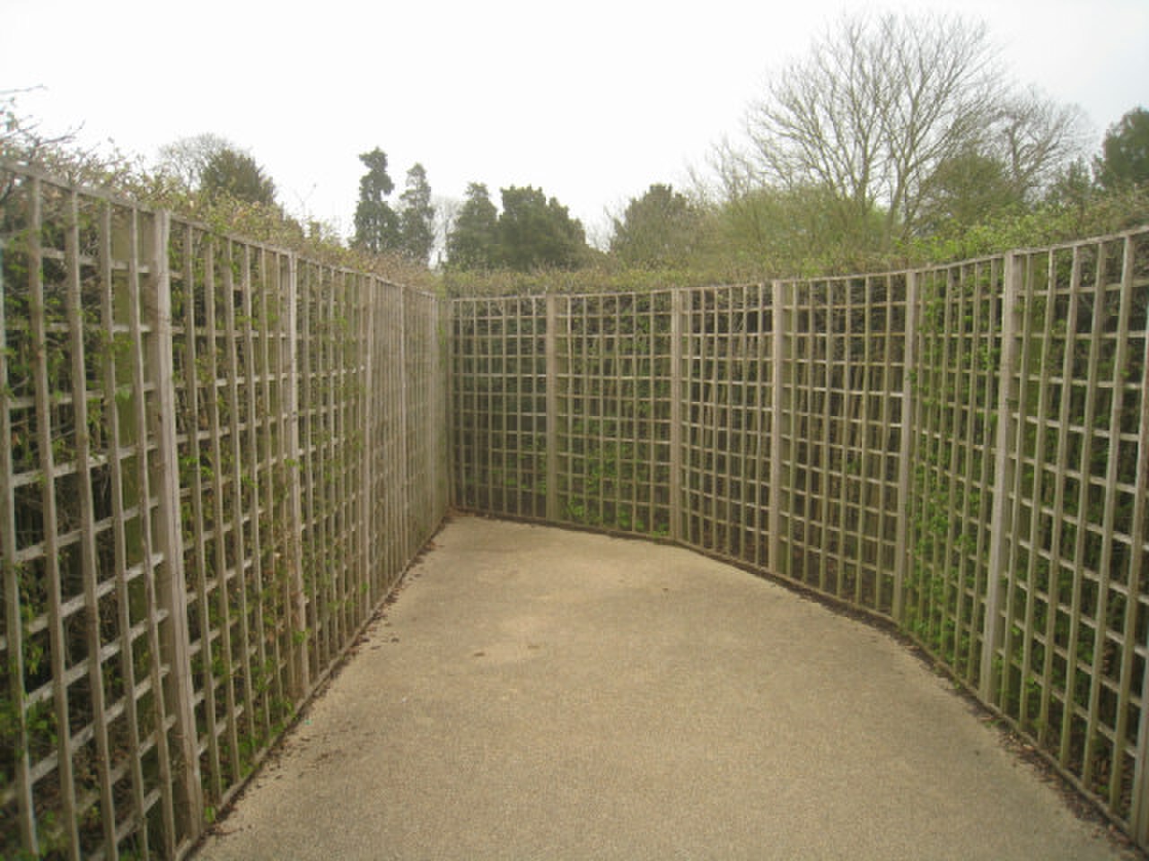 Hampton Court Maze