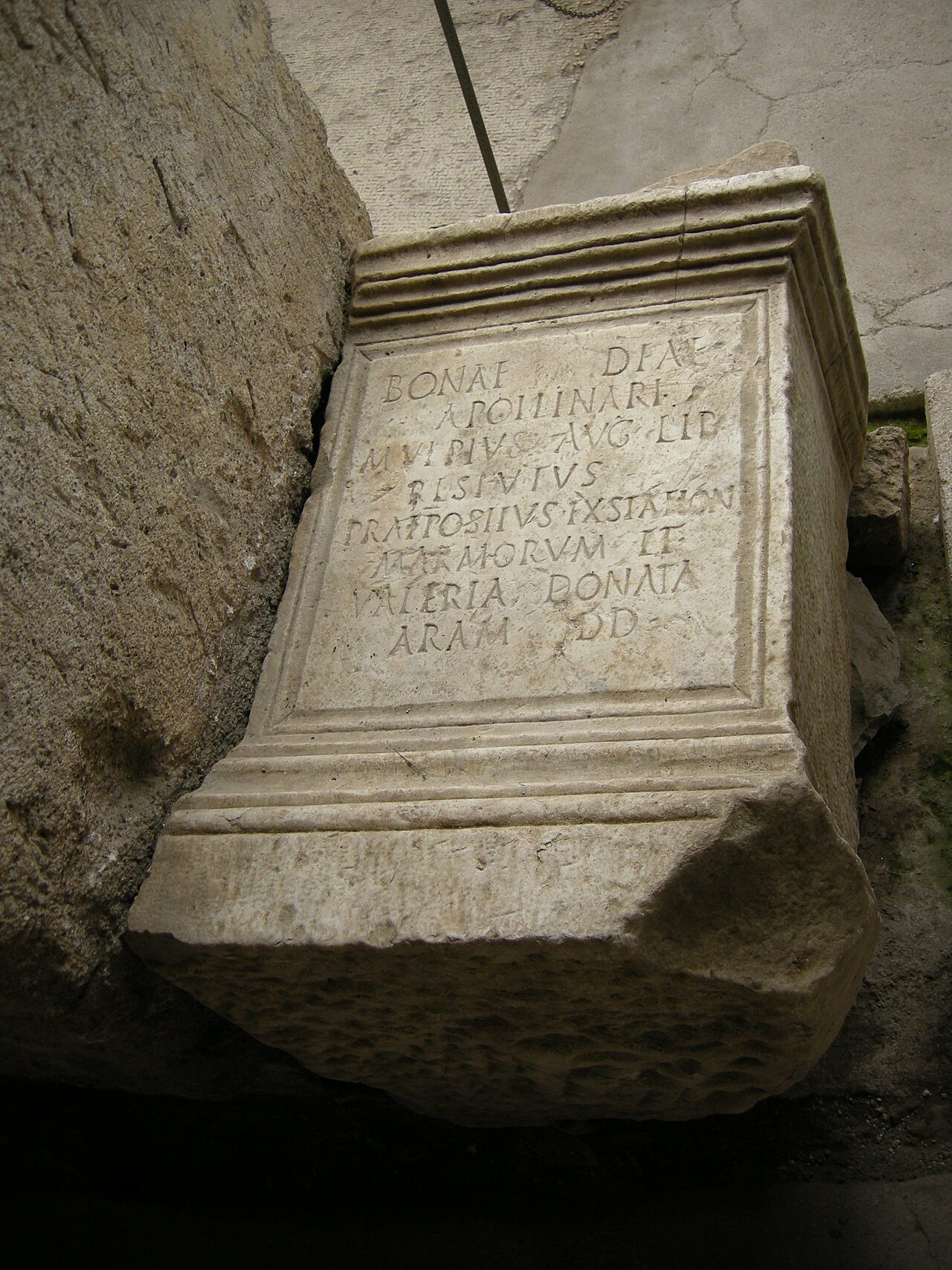 Exedra fotoğrafı