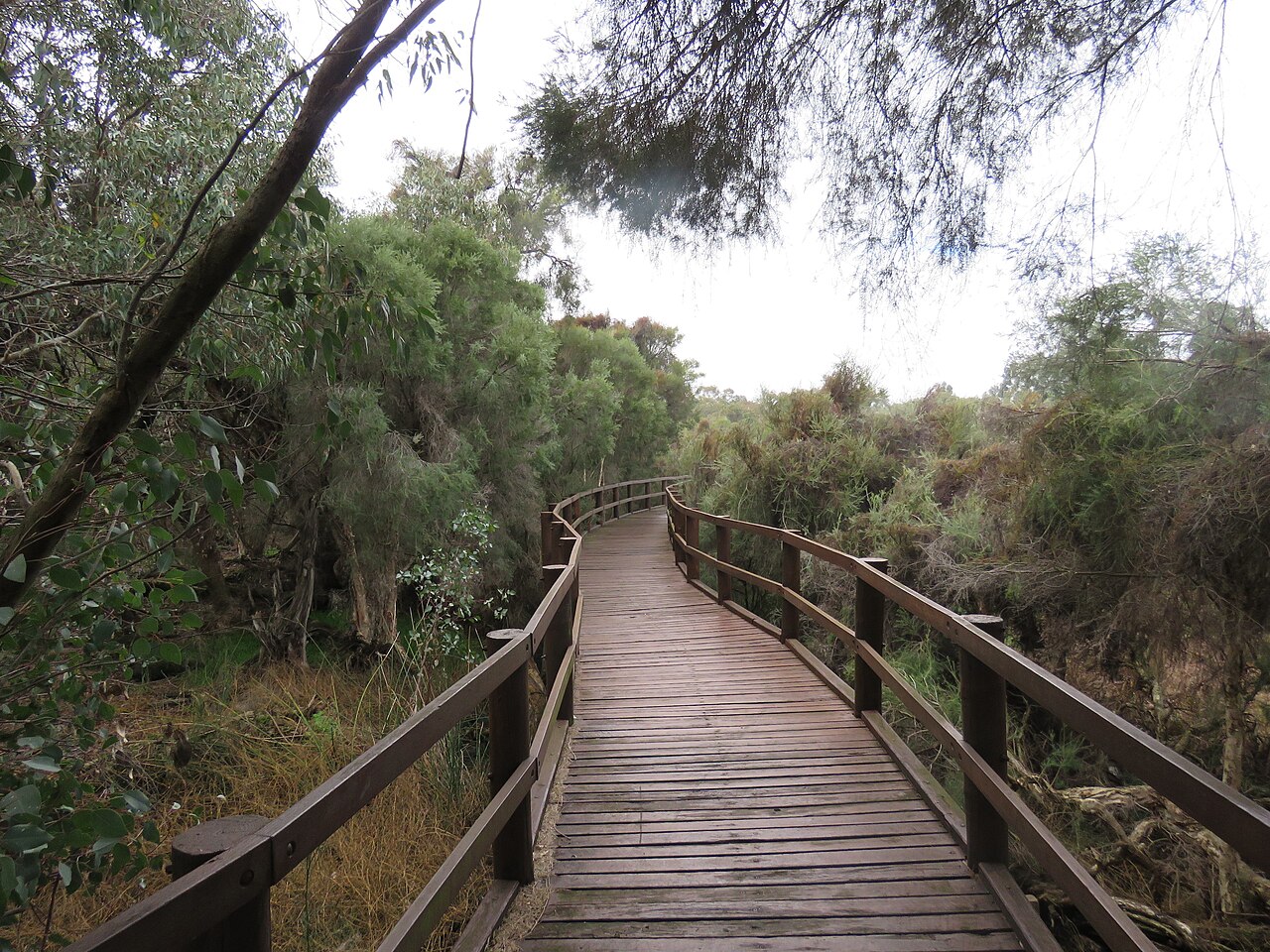 A photograph of Booragoon Lake