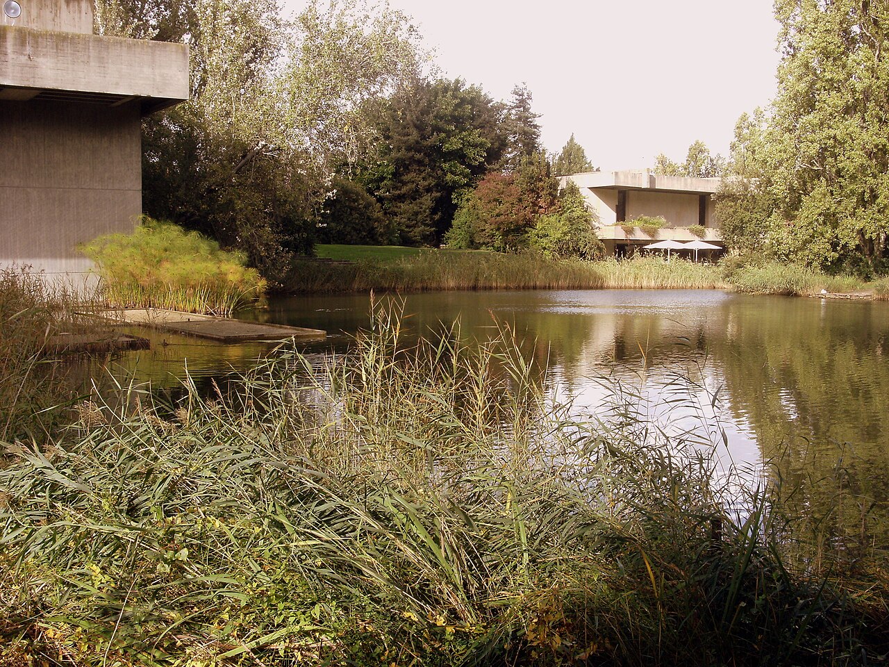 Una fotografia di Giardino della Fondazione Calouste Gulbenkian