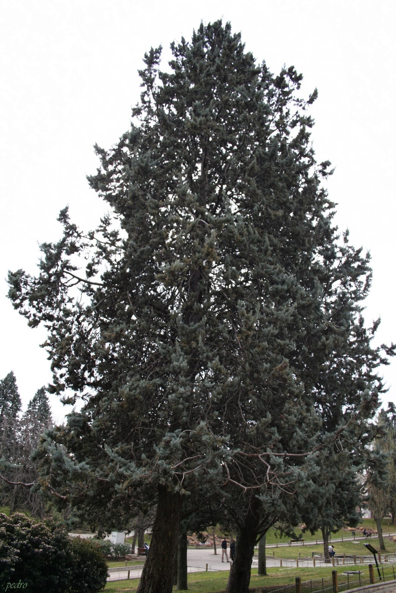 A photograph of Berlin Park