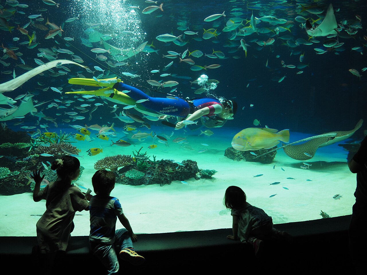 Sunshine Aquarium