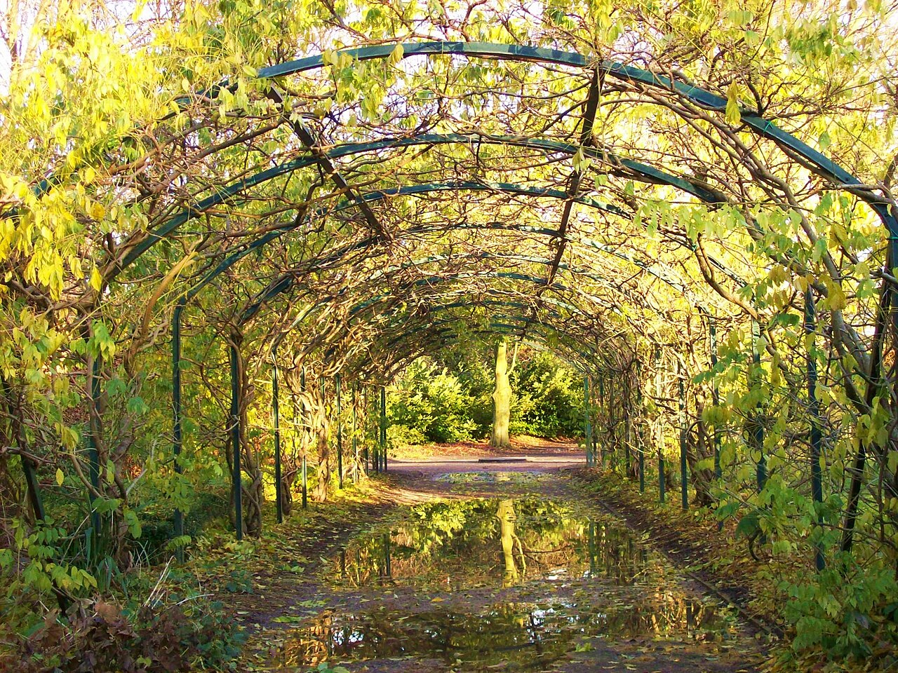 ウォークデン庭園 の写真
