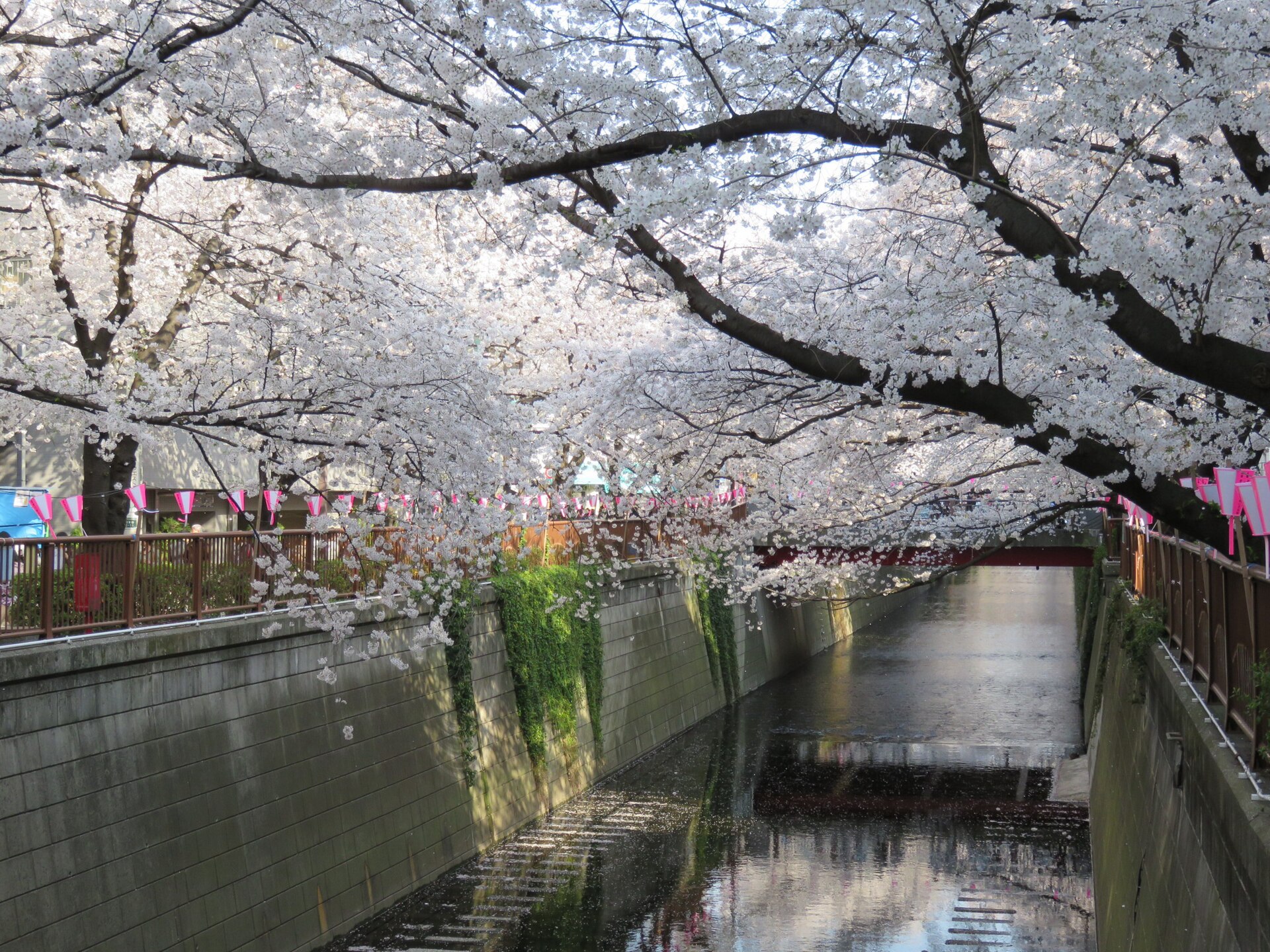 Una fotografia di Fiume Meguro