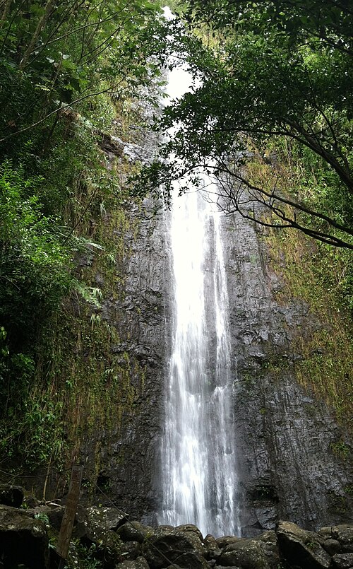 Chutes de Manoa