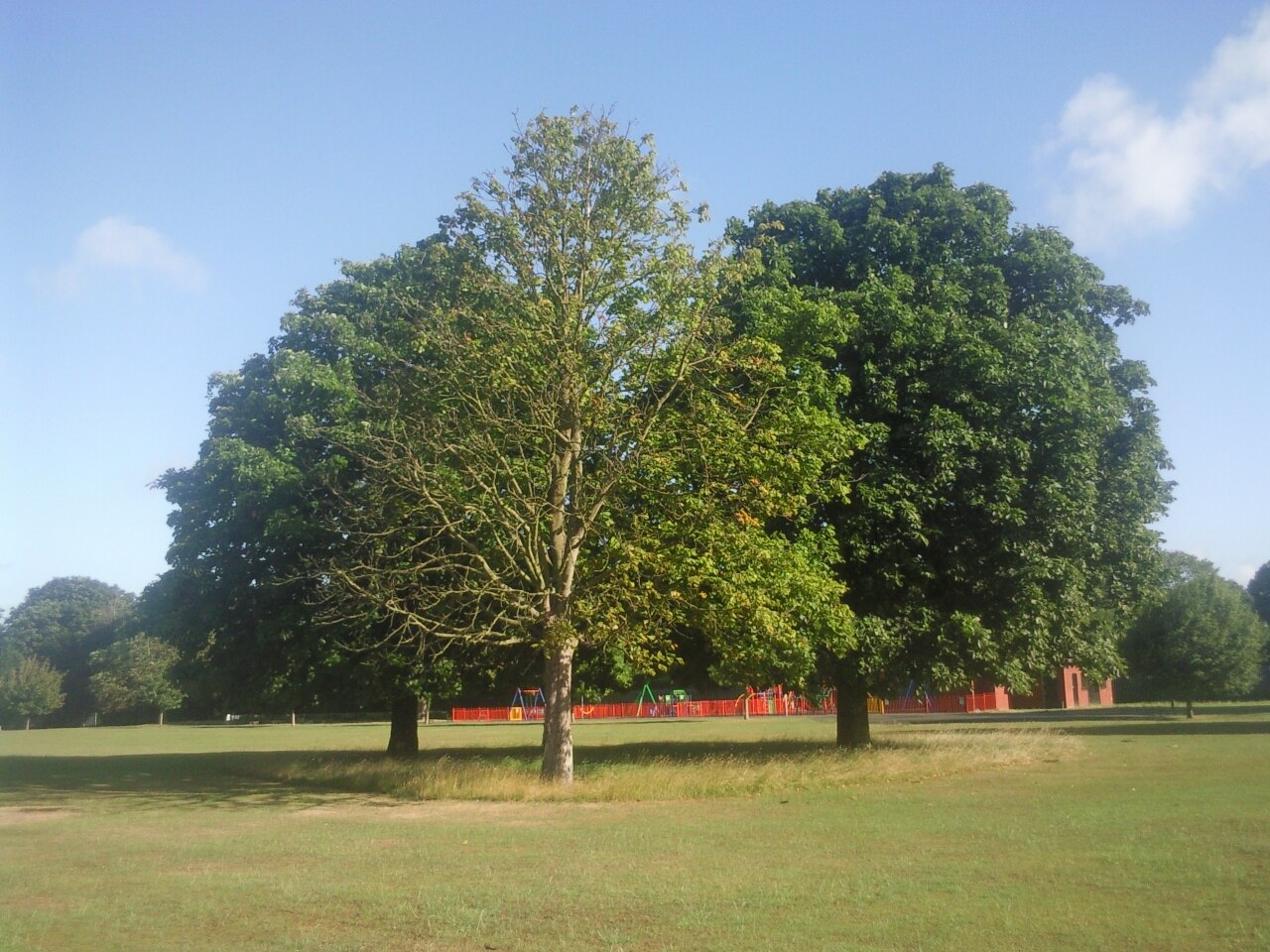 Fairy Hill Park