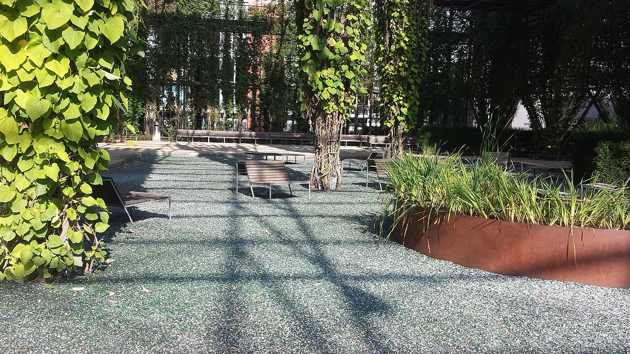 Ein Foto von MFO-Park