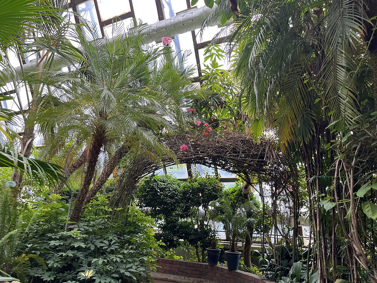 Seul Büyük Çocuk Parkı fotoğrafı