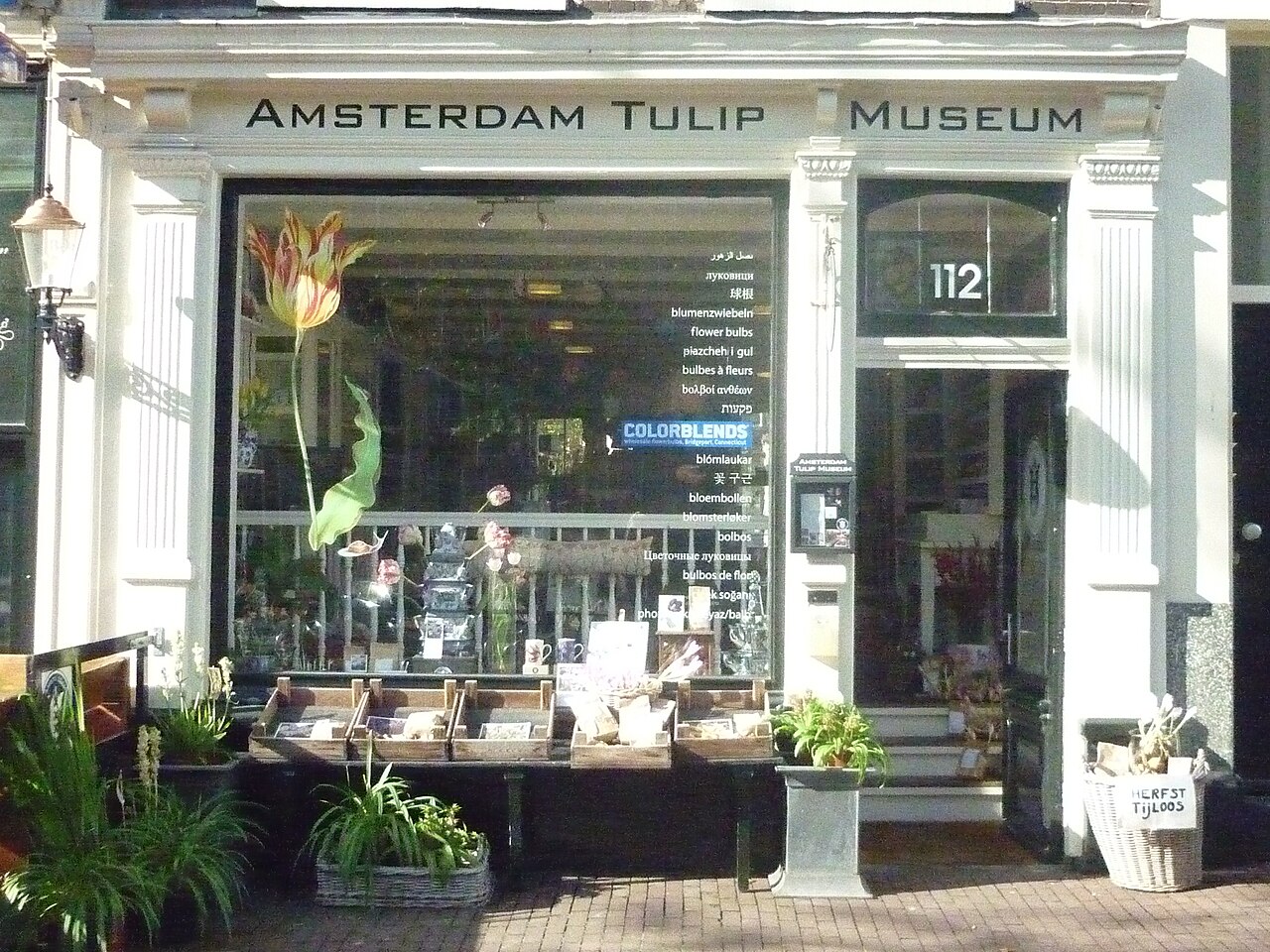 Amsterdam Lale Müzesi