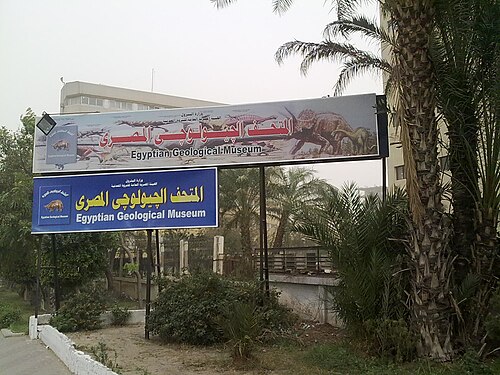Egyptian Geological Museum
