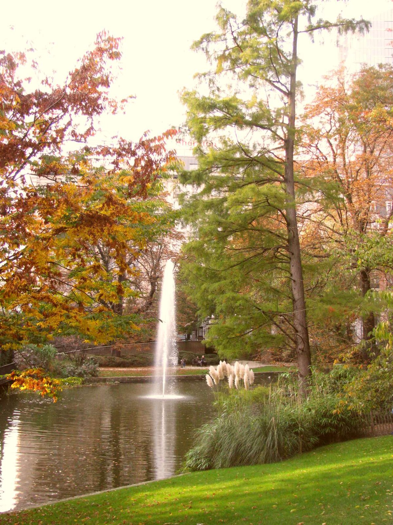 Una fotografia di Orto botanico di Bruxelles