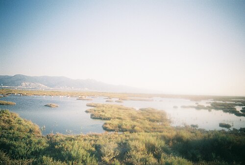 Delta del Gediz