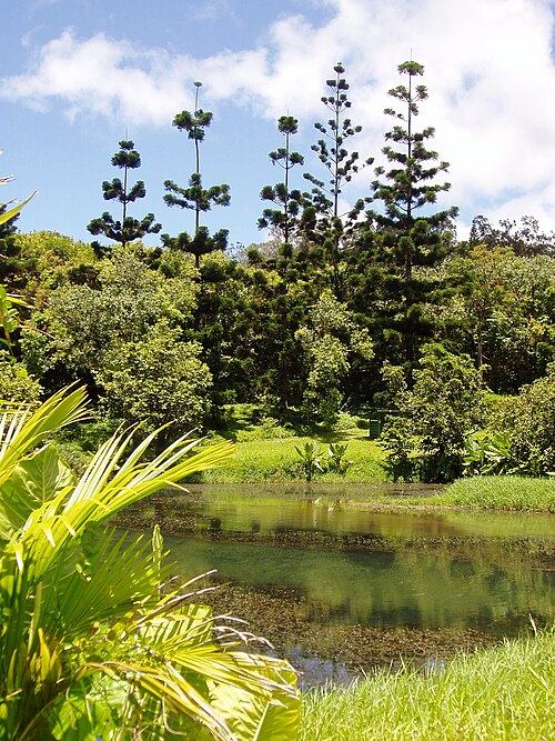 Jardin botanique Ho’omaluhia