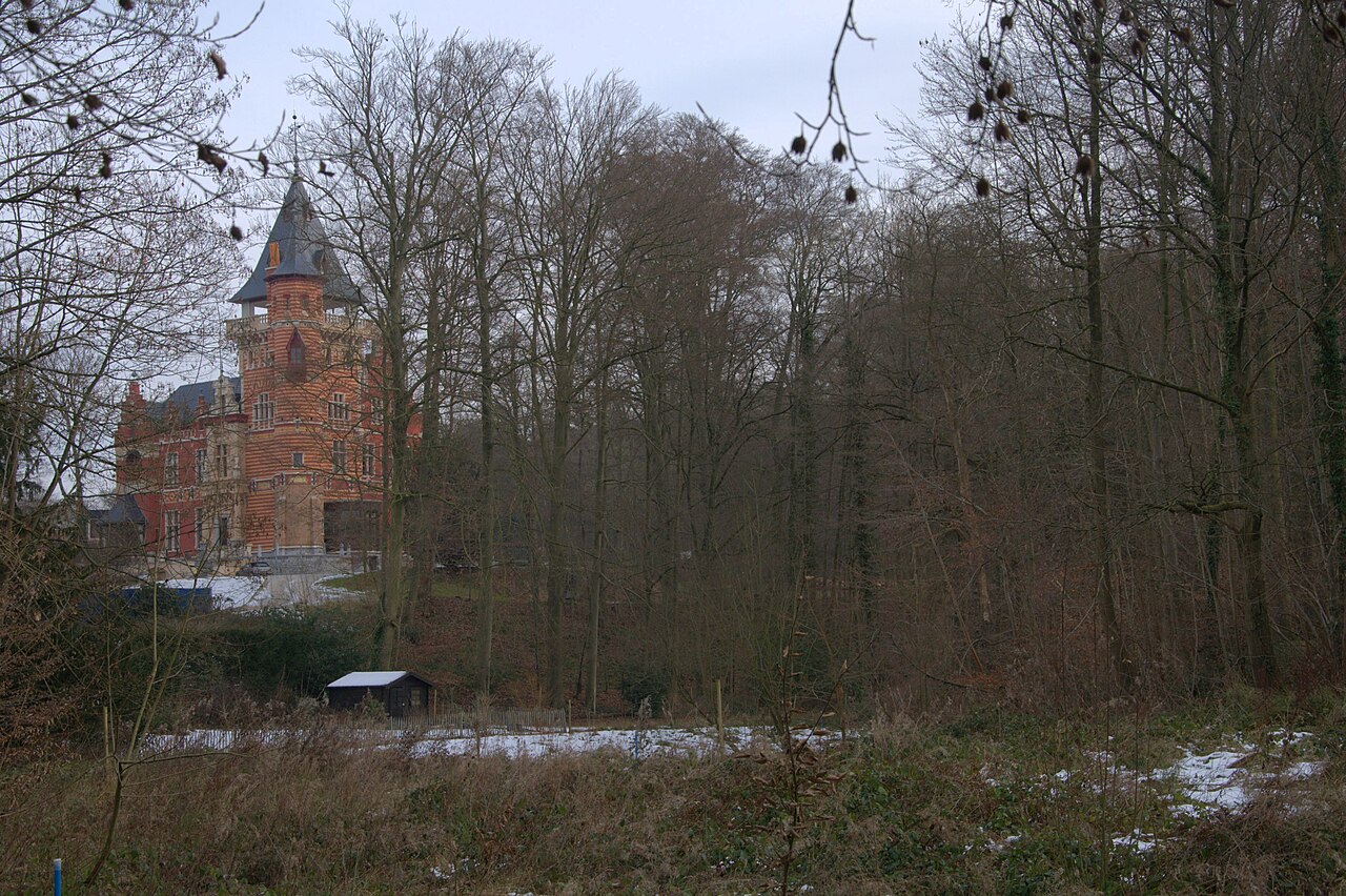 Una fotografia di Castello Charle-Albert