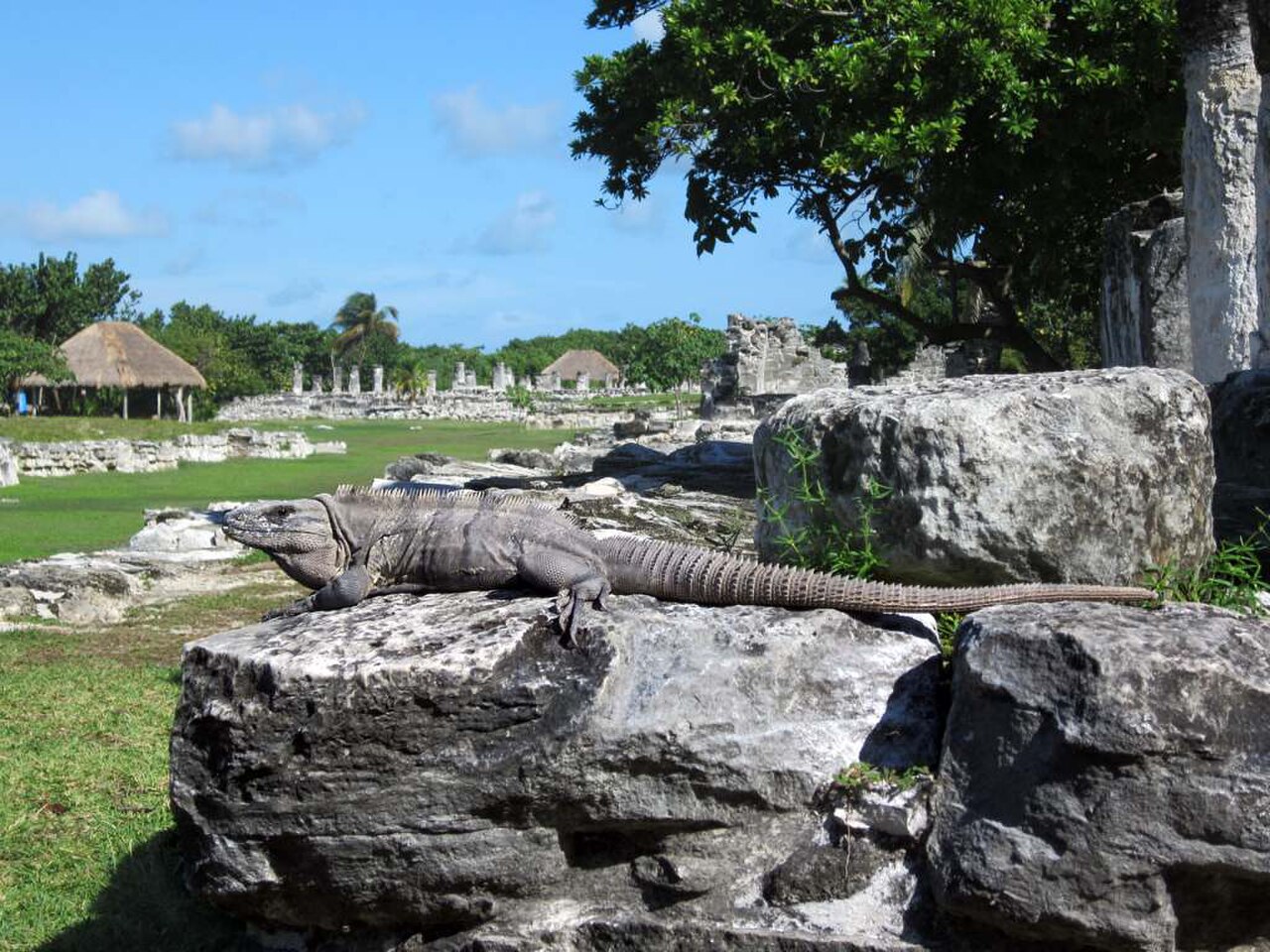 Museo de Sitio, Zona Arqueológica El Rey