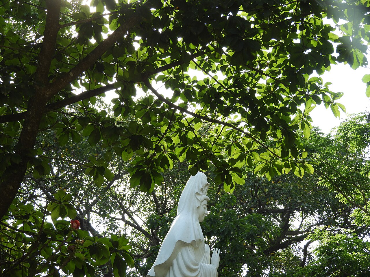 Una fotografia di Pagoda Thiên An (Chua Thiên An)