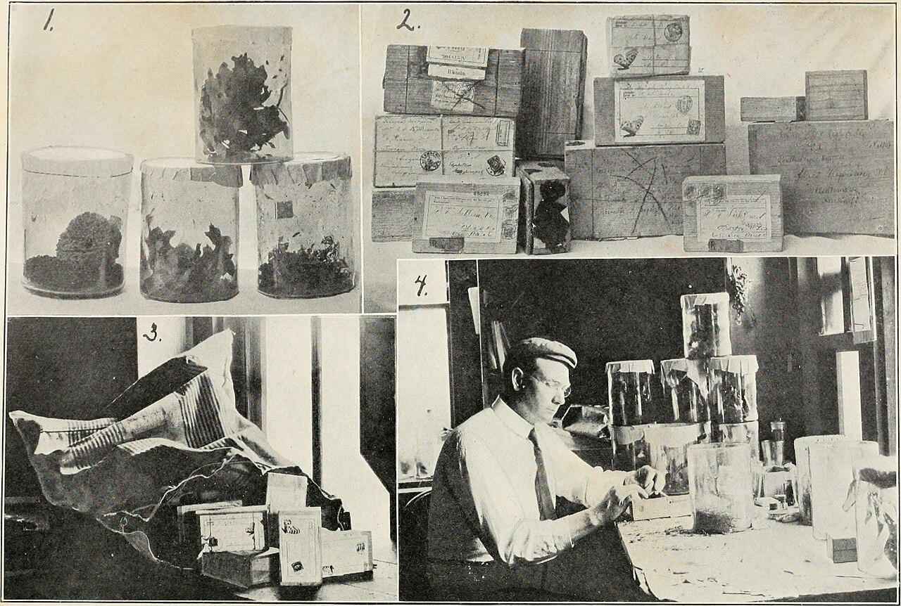 The Specimen Jar fotoğrafı