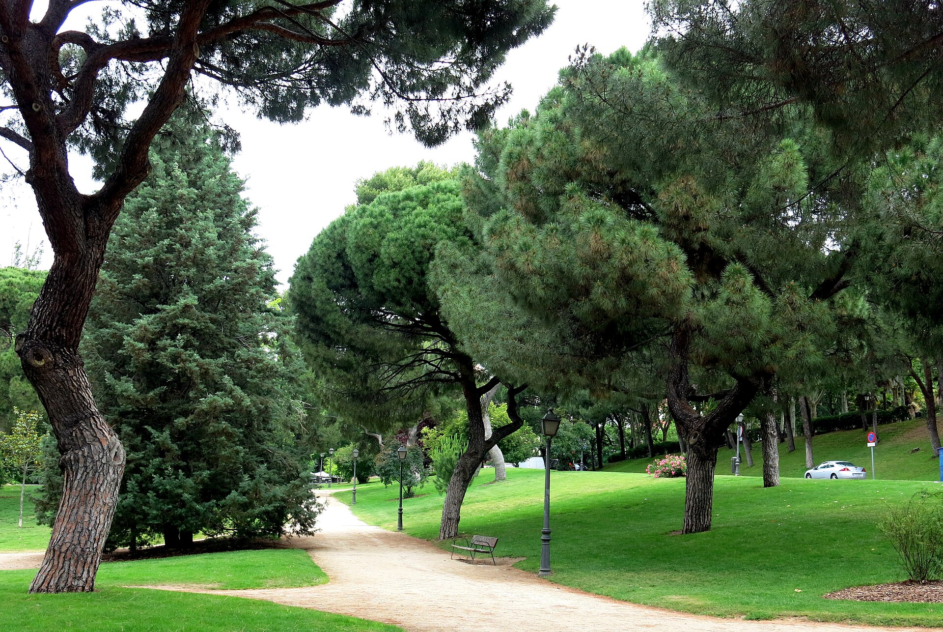 Parque del Oeste fotoğrafı