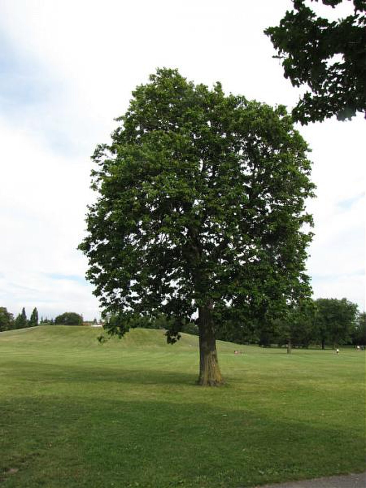 Una fotografía de Parque Ahuntsic