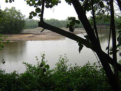 Sungei Buloh Sulak Alanı Koruma Alanı