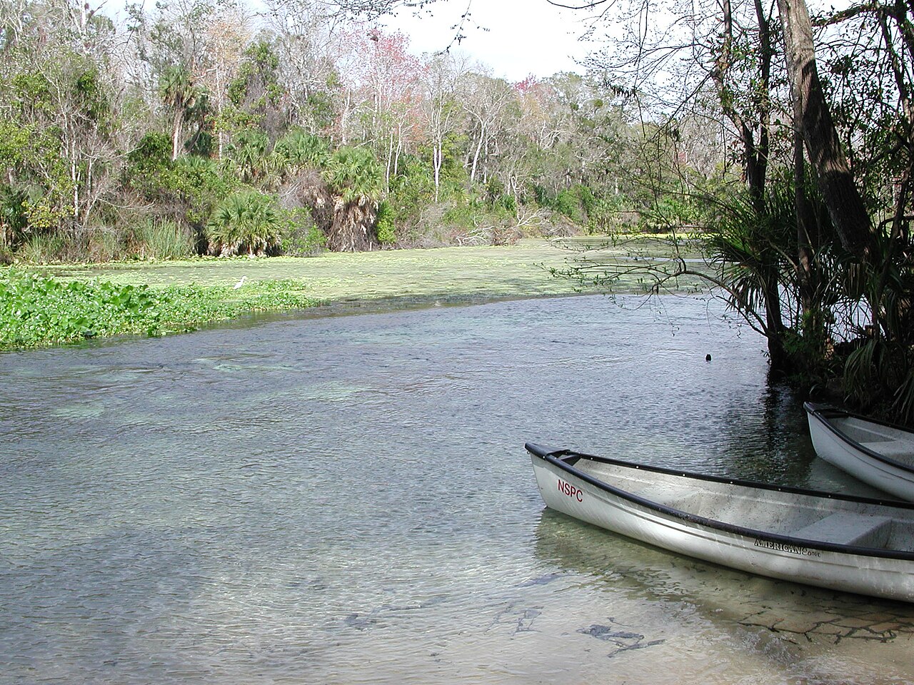 Wekiwa Springs State Park의 사진