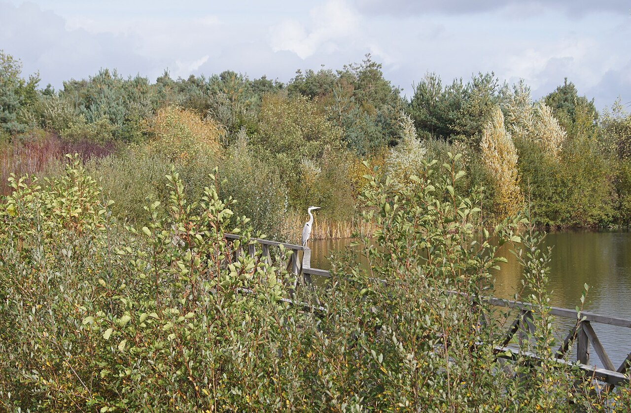 Turners Pond fotoğrafı