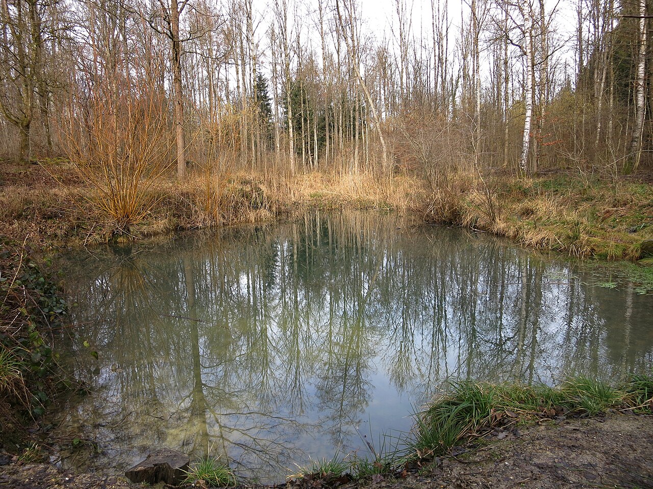Una fotografia di Hönggerberg