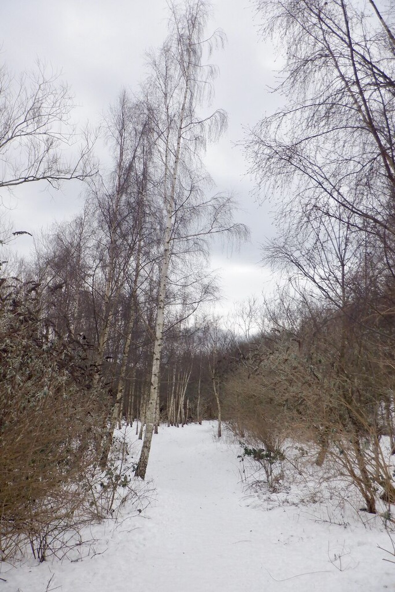 Craigmillar Castle Park の写真