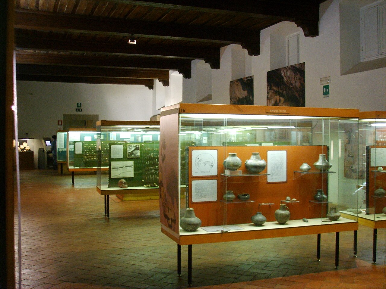 Museo Fiorentino di Preistoria