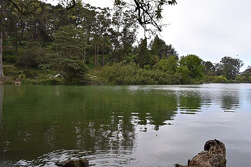 Blue Heron Lake