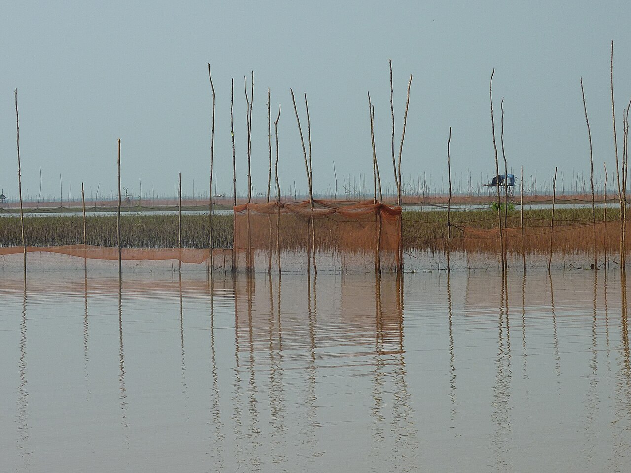 Una fotografía de Tonlé Sap