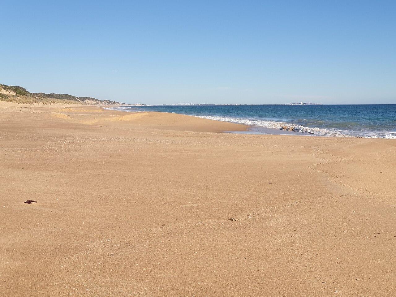 Ein Foto von Buffalo-Strand