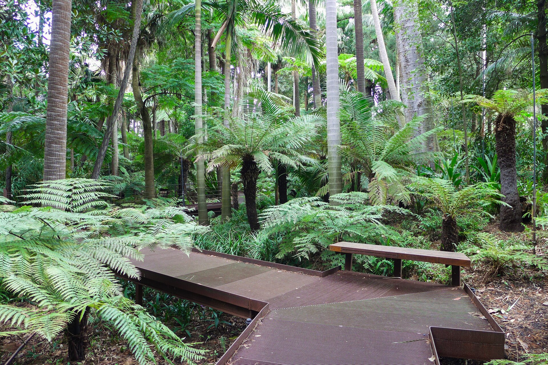 Royal Botanic Gardens Victoria의 사진