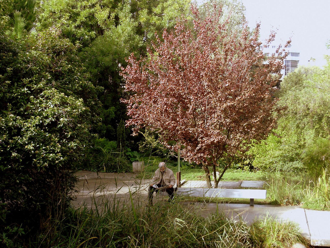Una fotografia di Giardino della Fondazione Calouste Gulbenkian