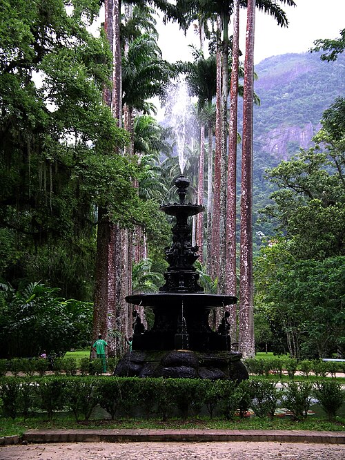 Rio de Janeiro Botanical Garden